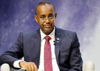 PM Roble scores big as states rush to conclude elections in Somalia
