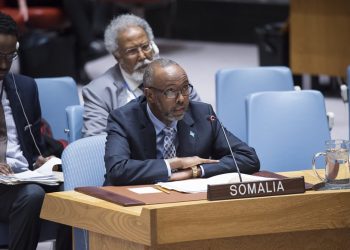 Somalia loses UN voting rights over unpaid dues