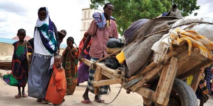 Thousands flee to Mogadishu as drought rages on in Somalia