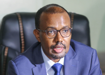 How Somalia reacted to the Houthi attack on UAE?