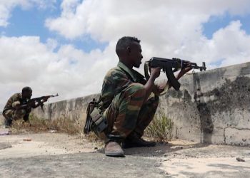 Somalia denies participating in Tigray genocide