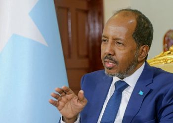 Hassan Sheikh’s promises to Somalia