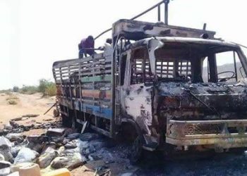 Al-Shabaab attack on food convoy in Somalia leaves 22 dead